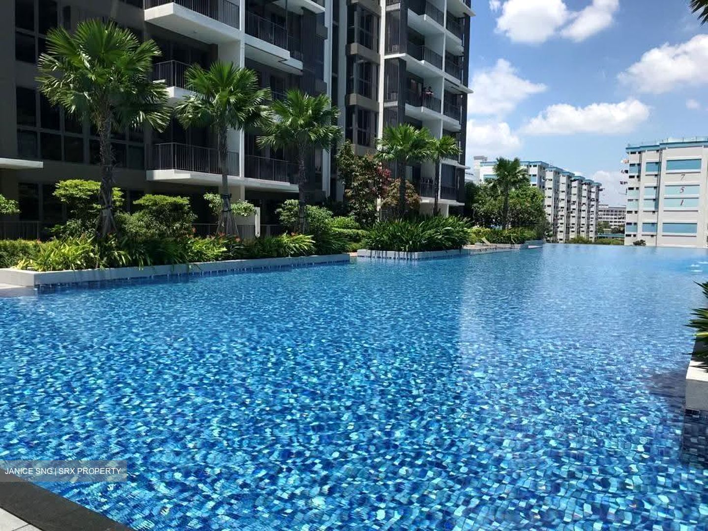 North Park Residences (D27), Apartment #614265361